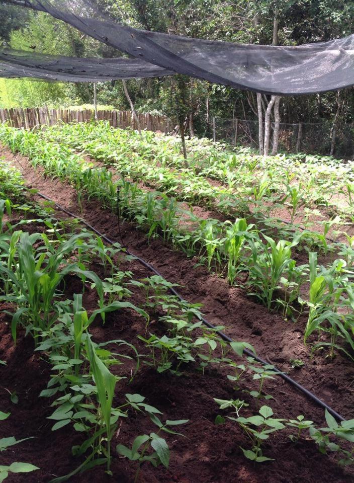 Riachinho Pousada Fazenda Вале до Капао Екстериор снимка